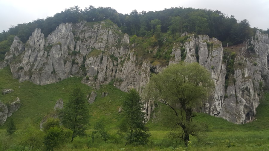 arăți bine