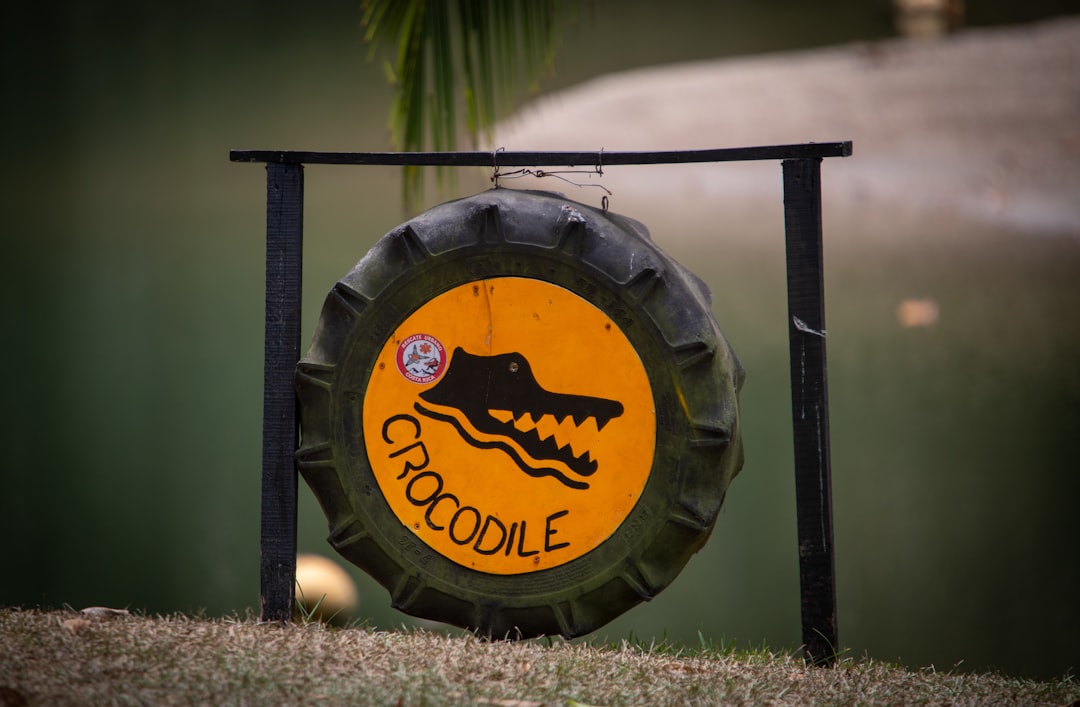 Photo croielile