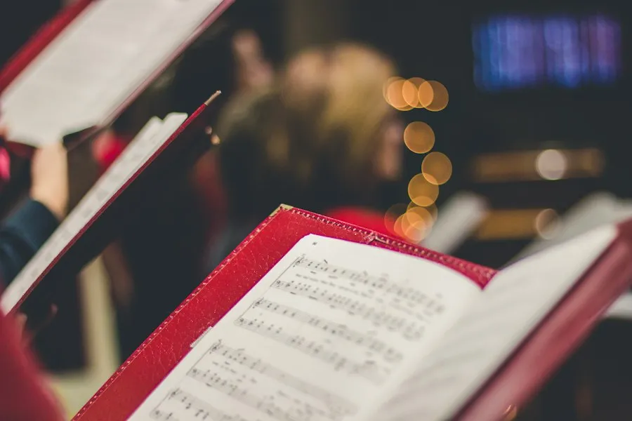 Photo beginner singing tips