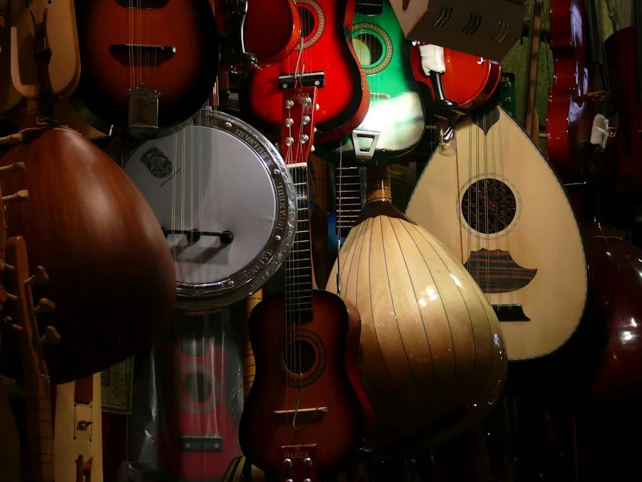 musical instruments guide